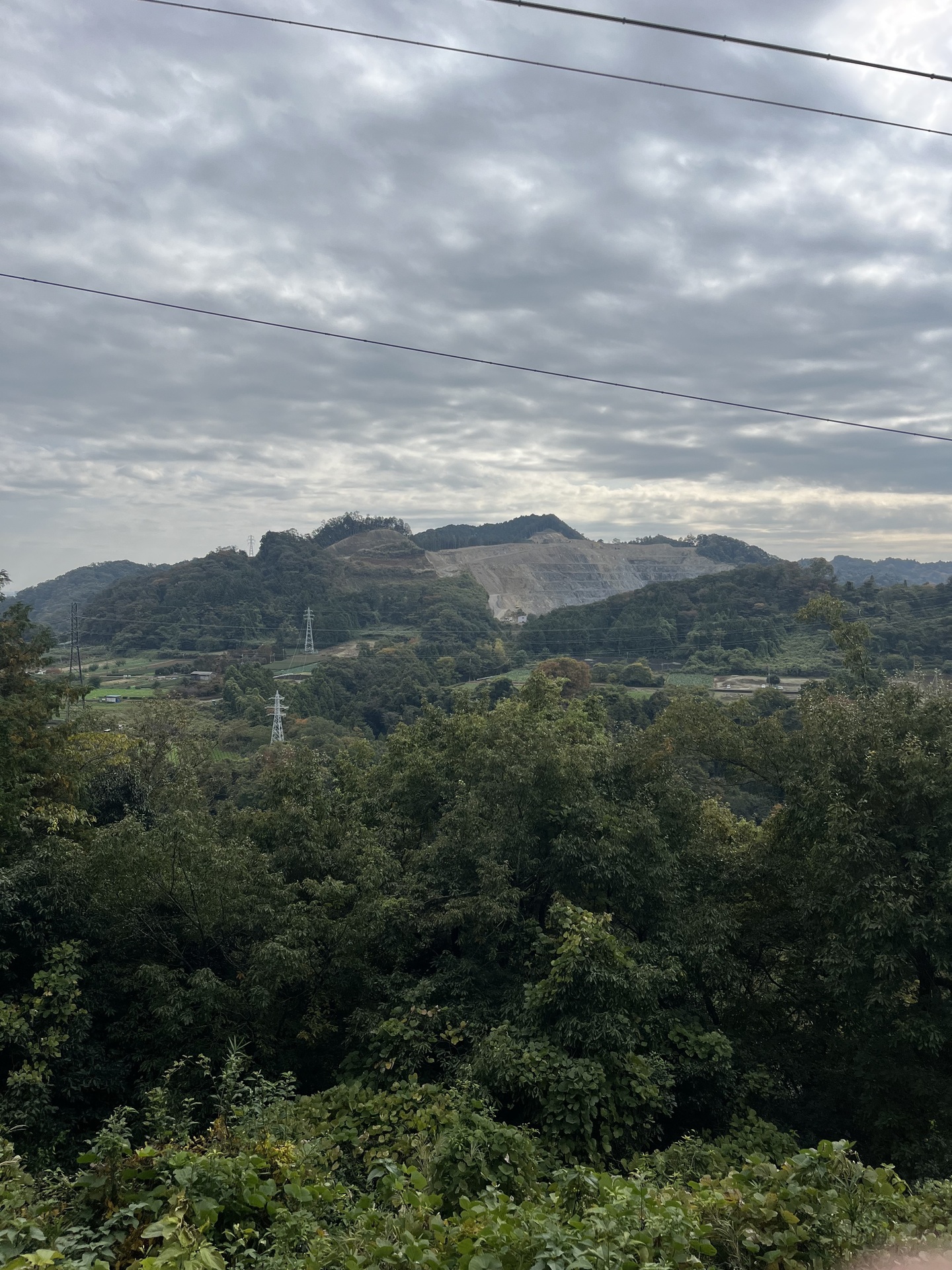 こんなところの伐採も